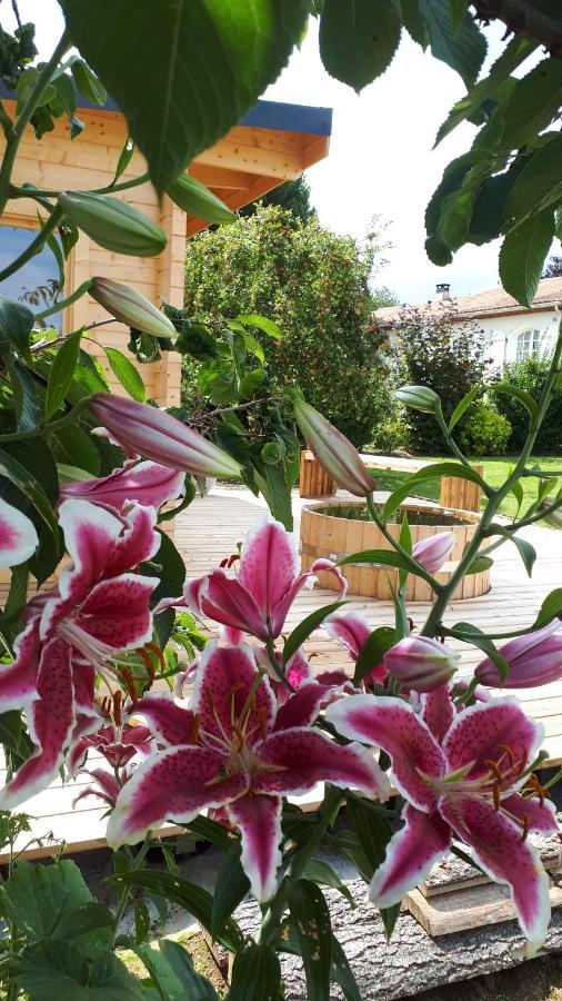 Gite "Le Mesminois" Etablissement Avec Espace Bien-Etre Et Sauna Saint-Mesmin  ภายนอก รูปภาพ